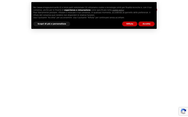 Ekraanipilt saidist erregiautoricambi.it