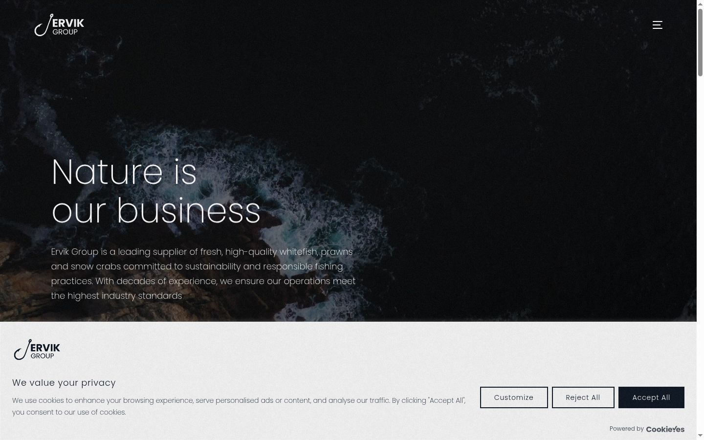 Screenshot of the consent banner shown before any interaction