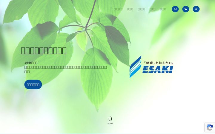 Ekraanipilt saidist esakimedical.co.jp