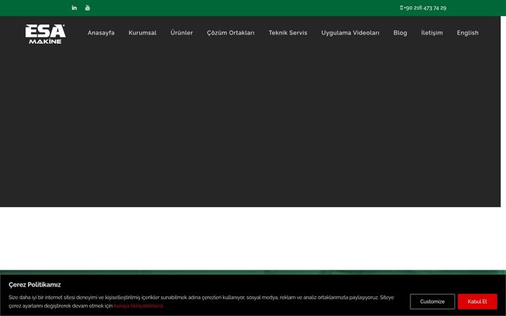Captura de ecrã de esamakine.com.tr