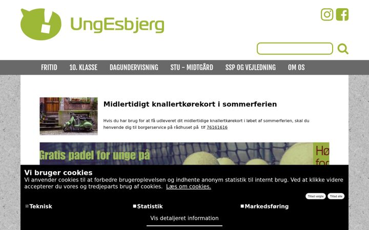 Screenshot stránky esbu.dk