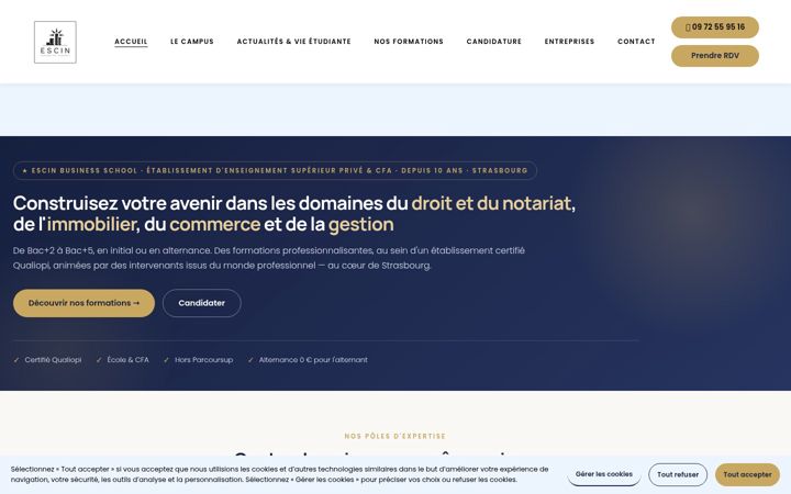 Screenshot di escin.fr