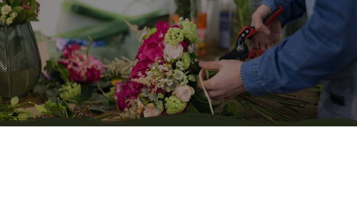 Екранна снимка на escolanucleo.com.br