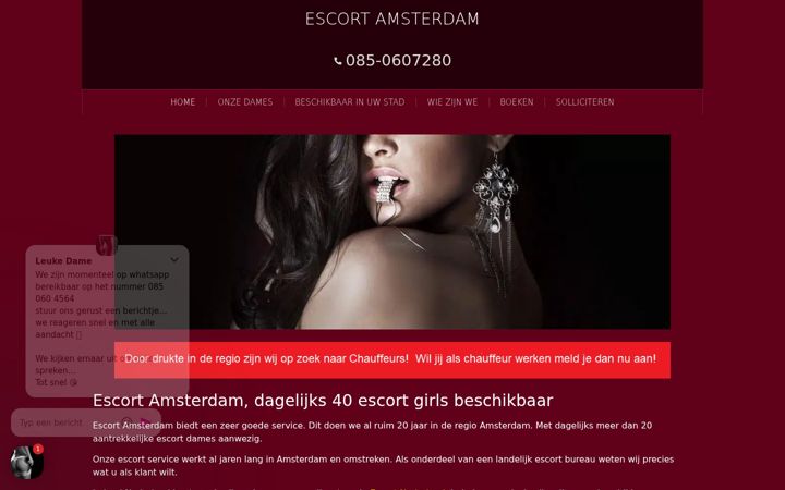 Screenshot of escort-services-amsterdam.nl
