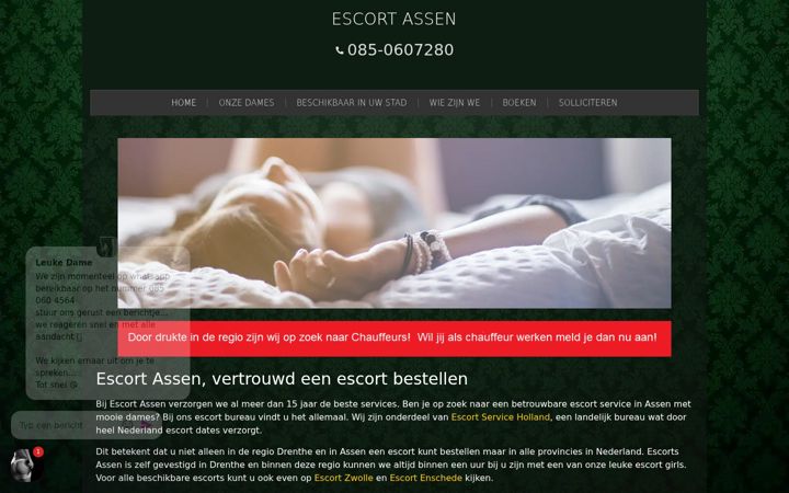Ekrano kopija escort-services-assen.nl
