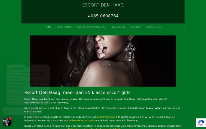 Ekrano kopija escort-services-denhaag.nl