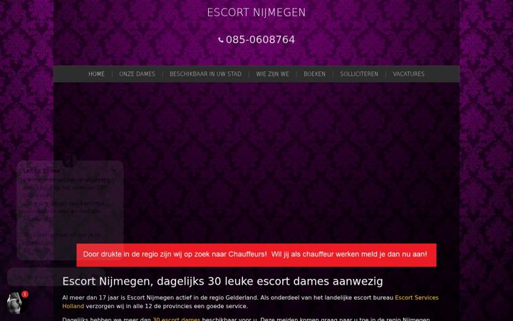 Ekrano kopija escort-services-nijmegen.nl