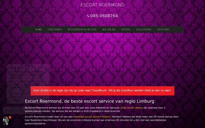 Ekrano kopija escort-services-roermond.nl