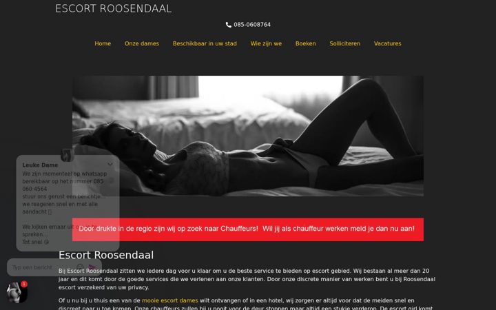 Skærmbillede af escort-services-roosendaal.nl