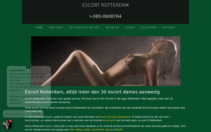 Skærmbillede af escort-services-rotterdam.nl