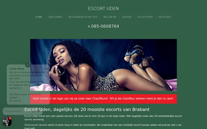 Skærmbillede af escort-services-uden.nl