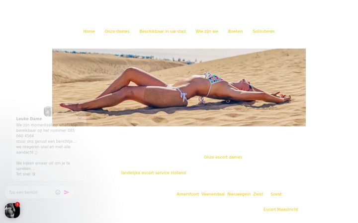 Skærmbillede af escort-services-utrecht.nl