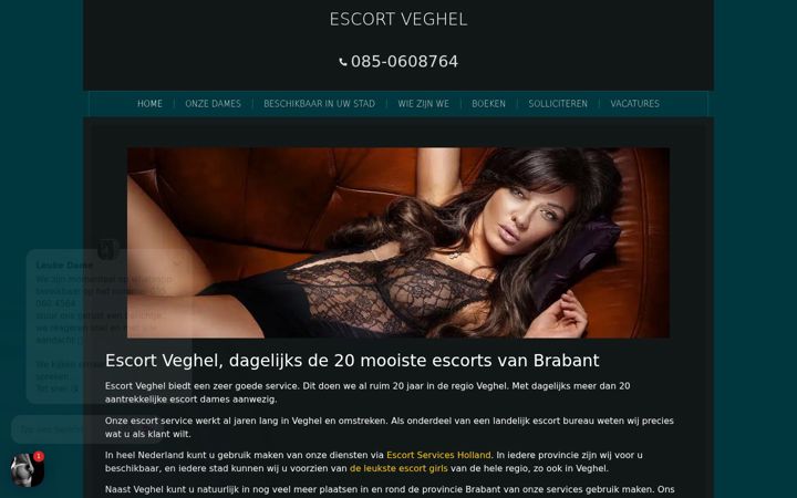 Skærmbillede af escort-services-veghel.nl