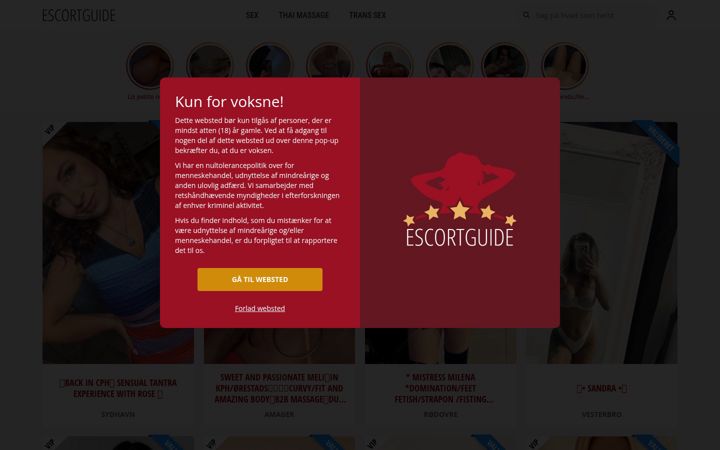 Screenshot of escortguide.dk