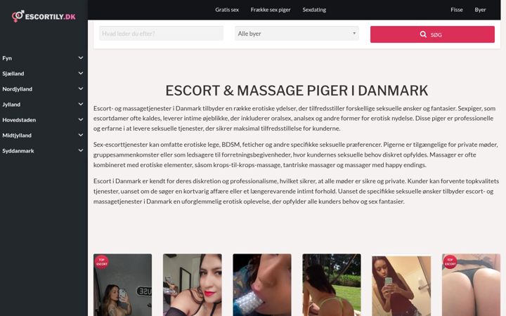 Ekrano kopija escortily.dk