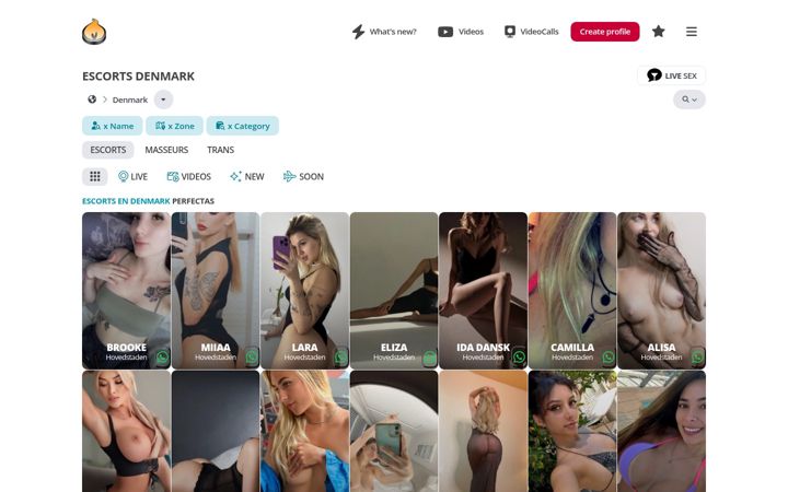 Screenshot of escortsvideollamadas.com