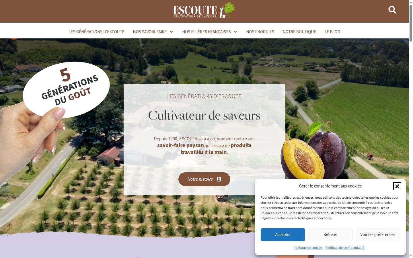 Screenshot del banner di consenso mostrato prima di qualsiasi interazione