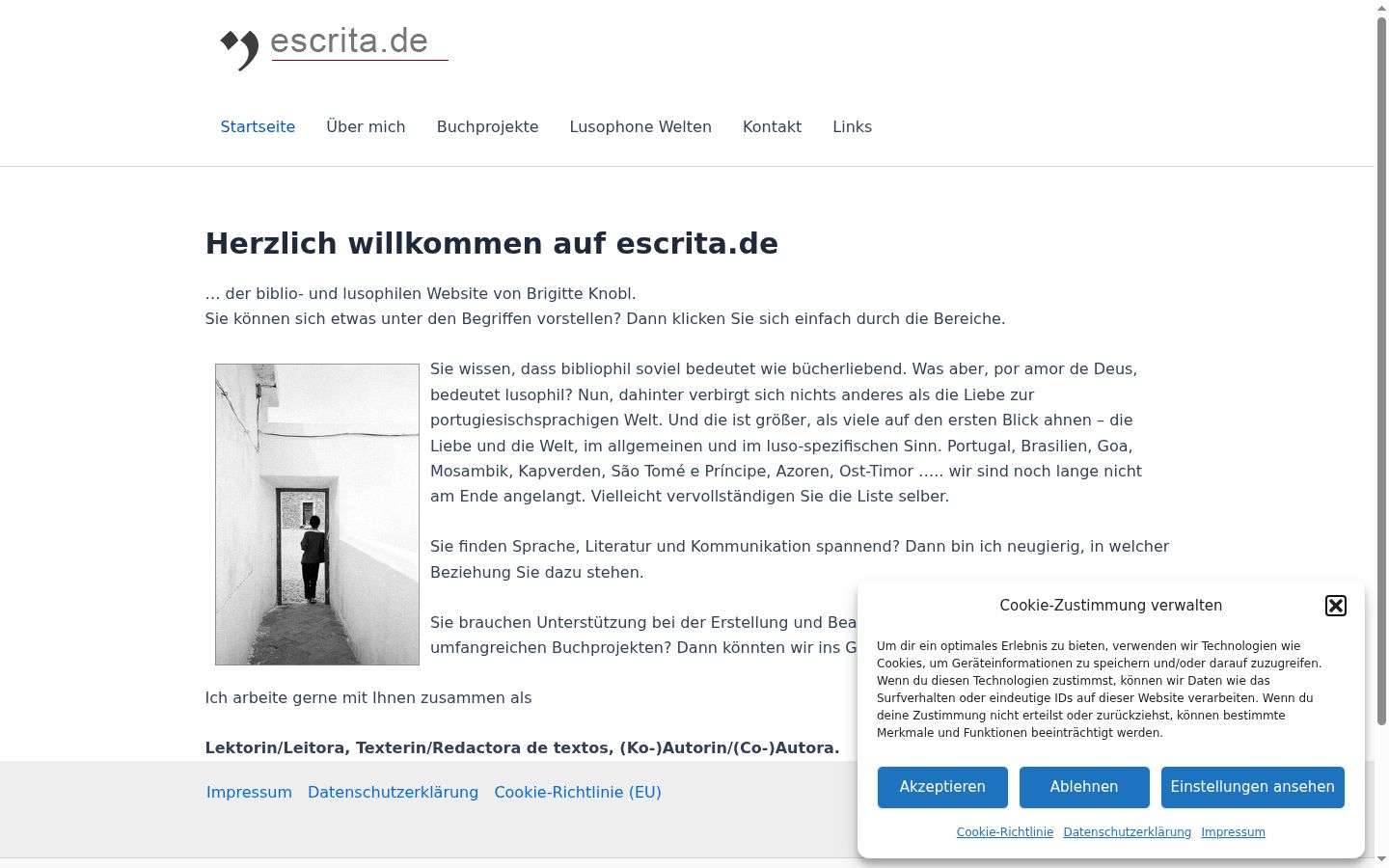 Screenshot van de toestemmingsbanner zoals getoond vóór enige interactie