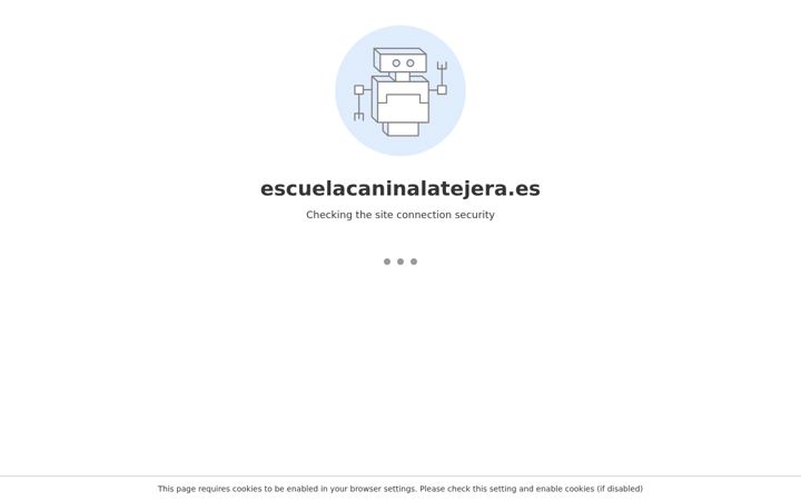 Ekrano kopija escuelacaninalatejera.es