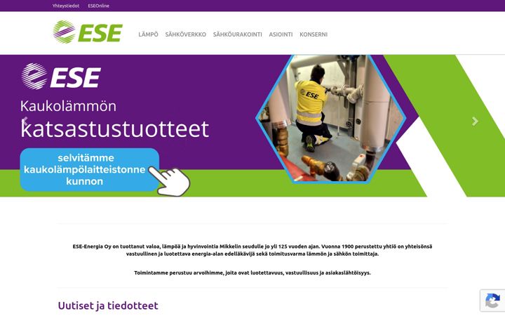 Екранна снимка на ese.fi