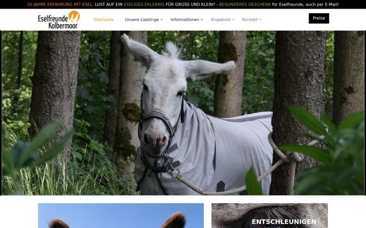 Screenshot stránky eselfreunde-kolbermoor.de
