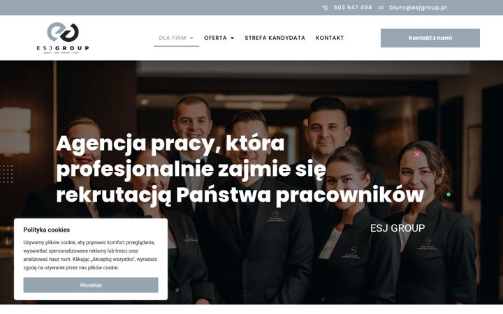 Snímek obrazovky esjgroup.pl