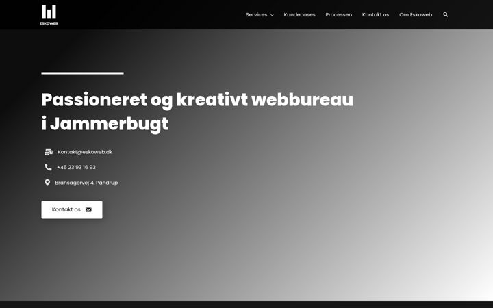 Ekrano kopija eskoweb.dk