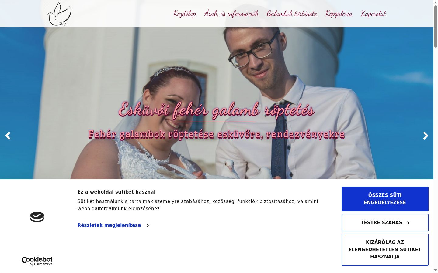 Kuvakaappaus suostumusbannerista, joka näytettiin ennen mitään vuorovaikutusta