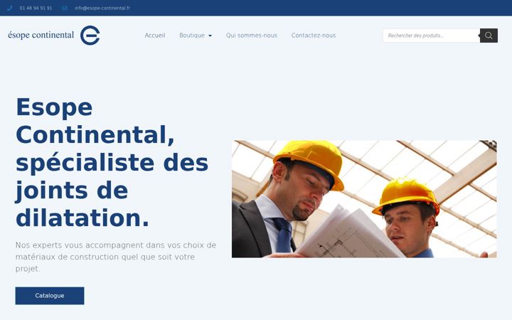 Screenshot di esope-continental.fr