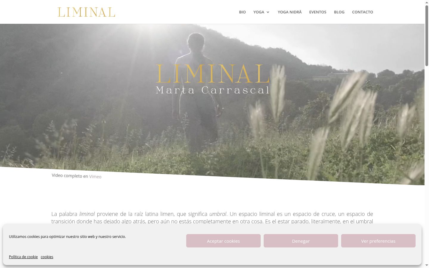 Screenshot van de toestemmingsbanner zoals getoond vóór enige interactie