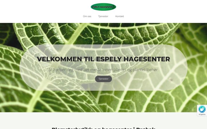 Screenshot of espelyhagesenter.no