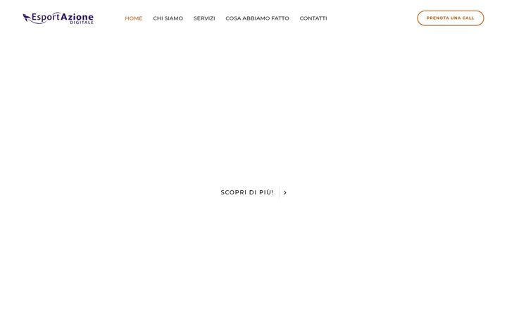 Screenshot of esportazionedigitale.it