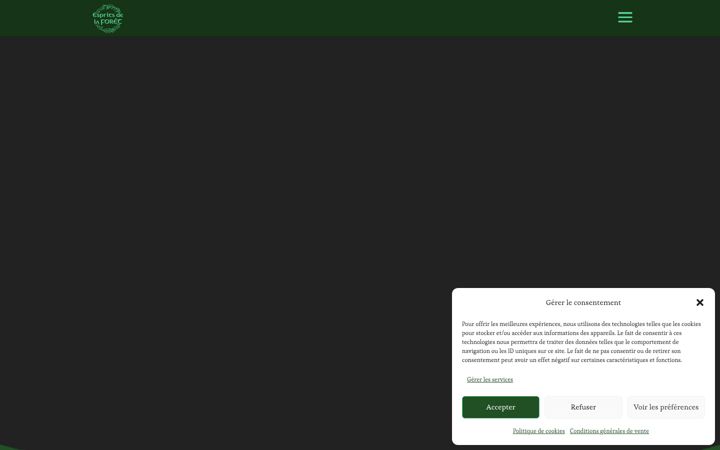 Screenshot ta' esprits-de-la-foret.ch