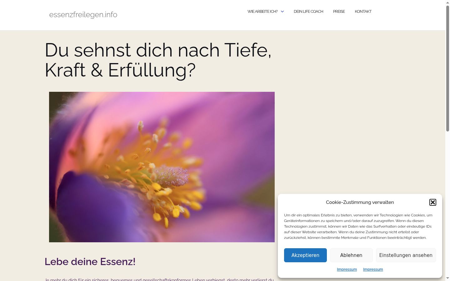 Screenshot tal-banner tal-kunsens muri qabel kwalunkwe interazzjoni