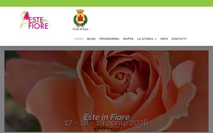 Screenshot του esteinfiore.it