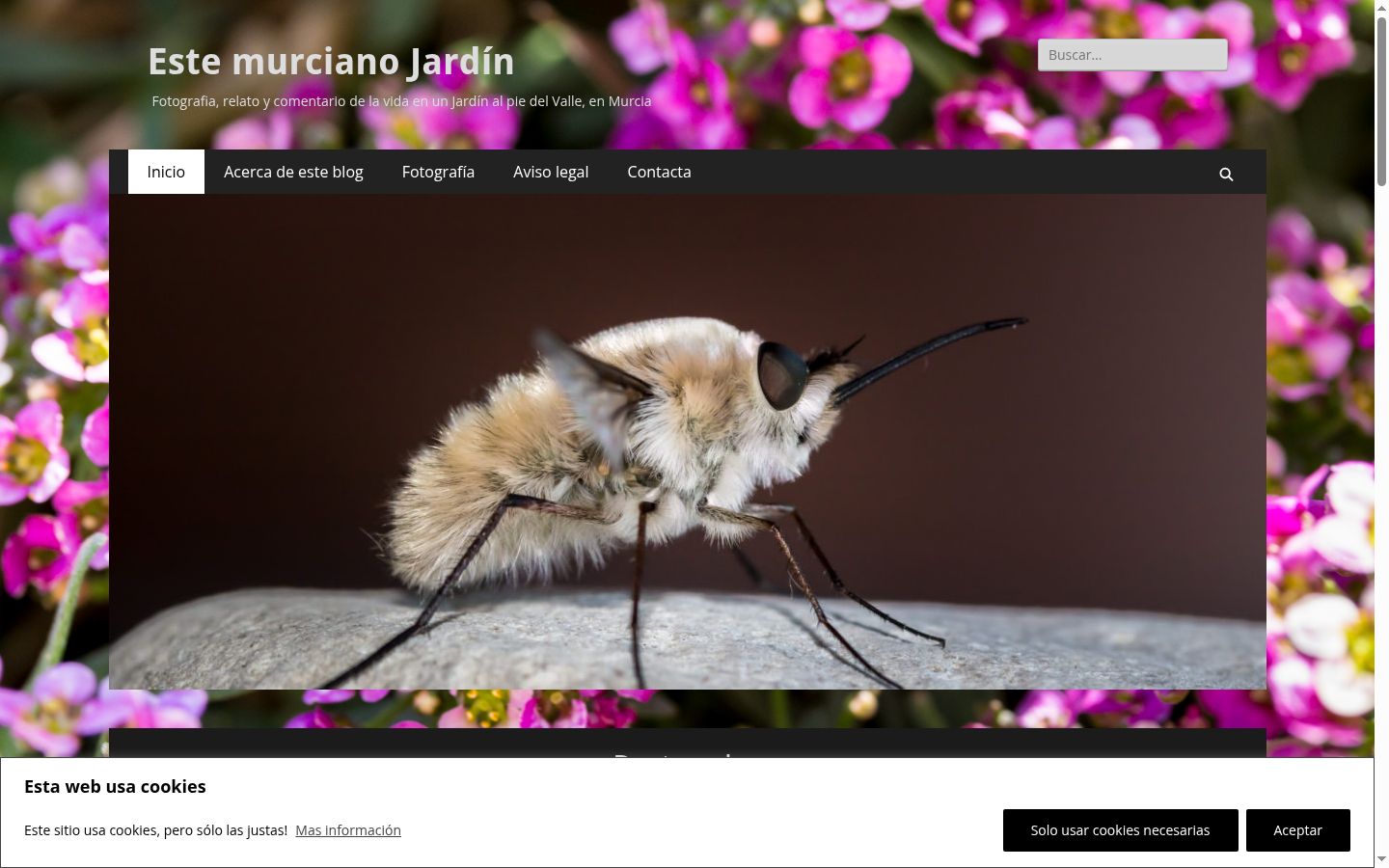 Screenshot tal-banner tal-kunsens muri qabel kwalunkwe interazzjoni