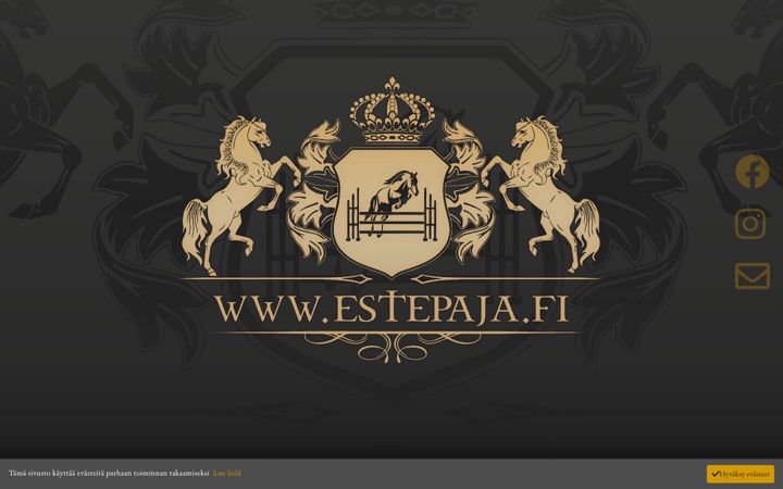 Captura de ecrã de estepaja.fi