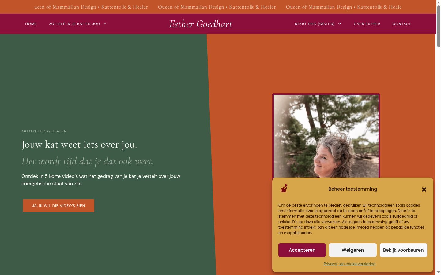 Screenshot tal-banner tal-kunsens muri qabel kwalunkwe interazzjoni