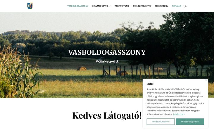 Screenshot di estsa.hu