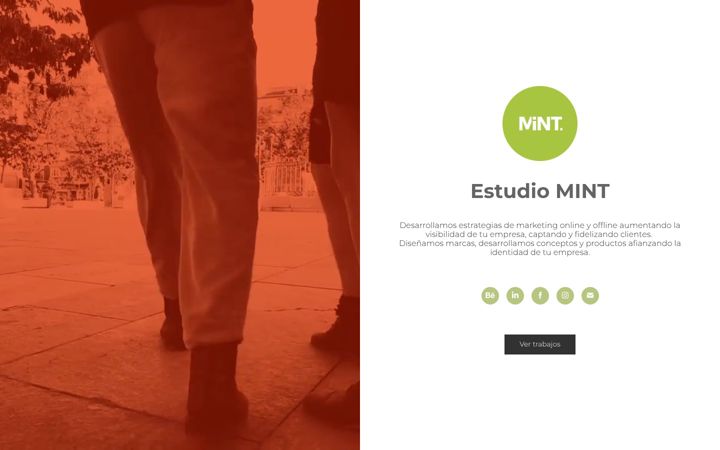 Screenshot of estudiomint.es