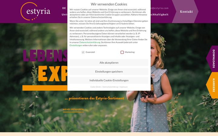 Screenshot of estyria.com