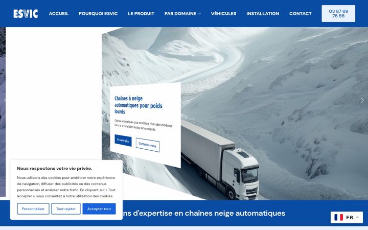 Screenshot of esvic.fr