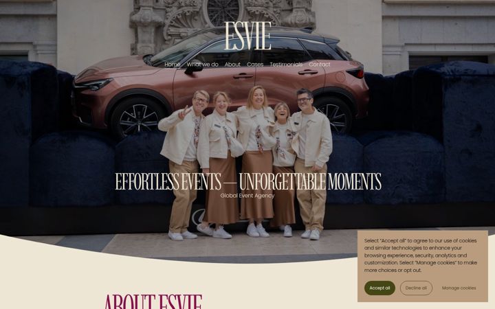 Screenshot of esvie-global.com