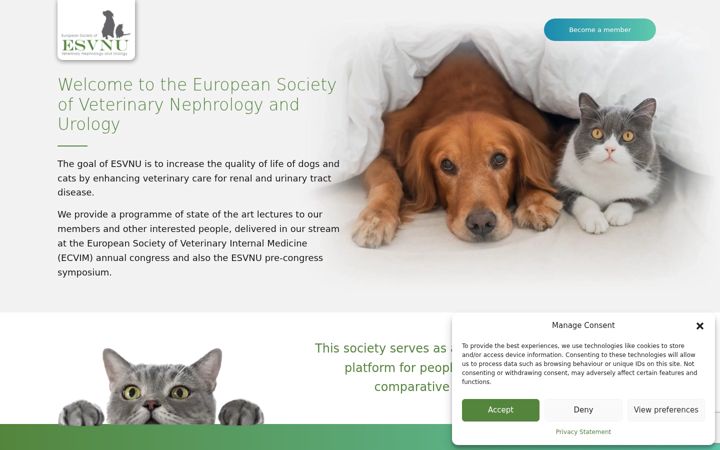 Screenshot of esvnu.com