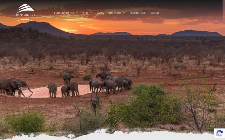 Screenshot ta' etalisafari.co.za
