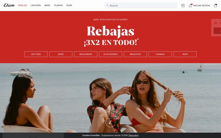 Screenshot of etam.es