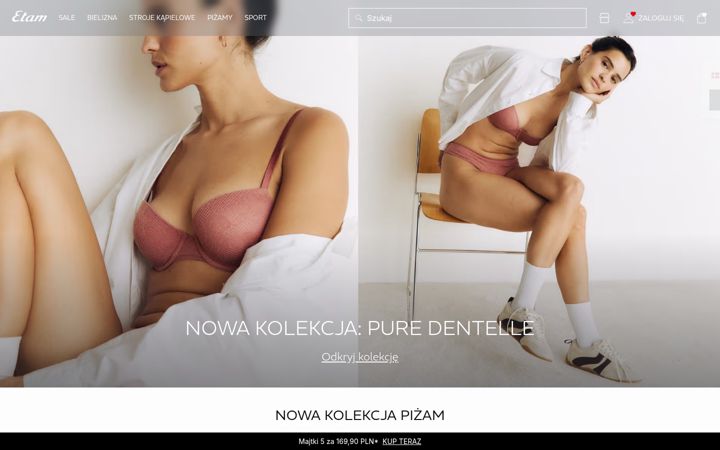 Screenshot of etam.pl