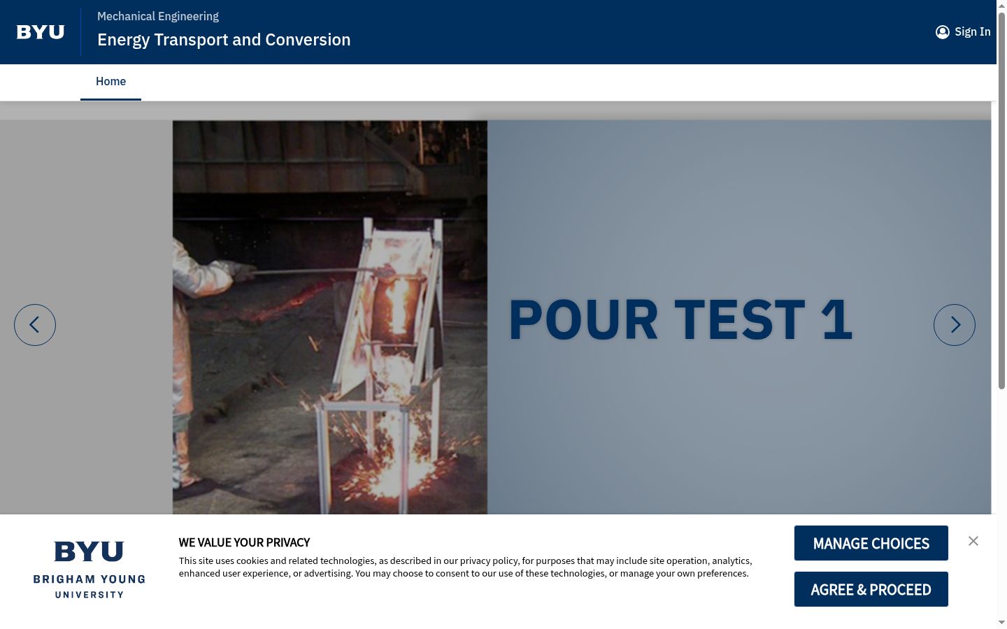Screenshot of the consent banner shown before any interaction