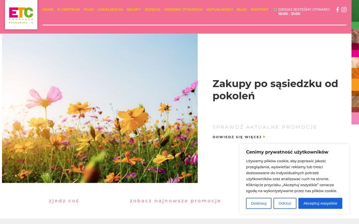 Screenshot of etcswarzedz.pl