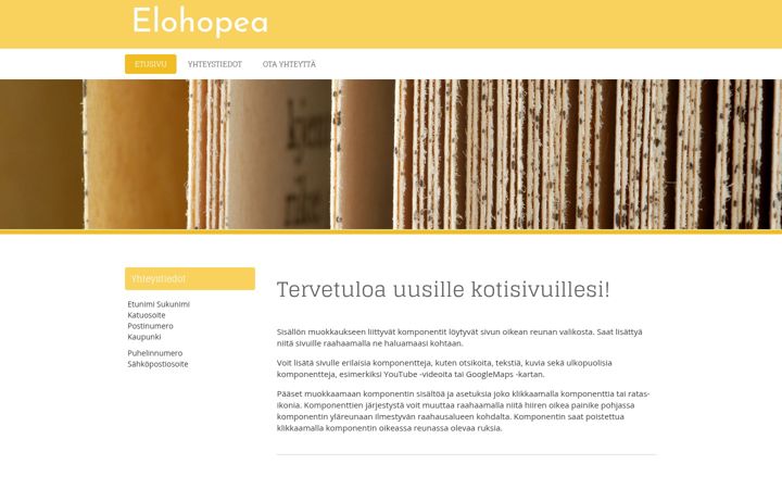 Екранна снимка на etenevasti.fi